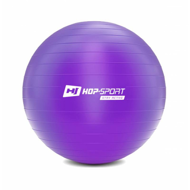 Գ Hop-Sport 65cm HS-R065YB violet + 