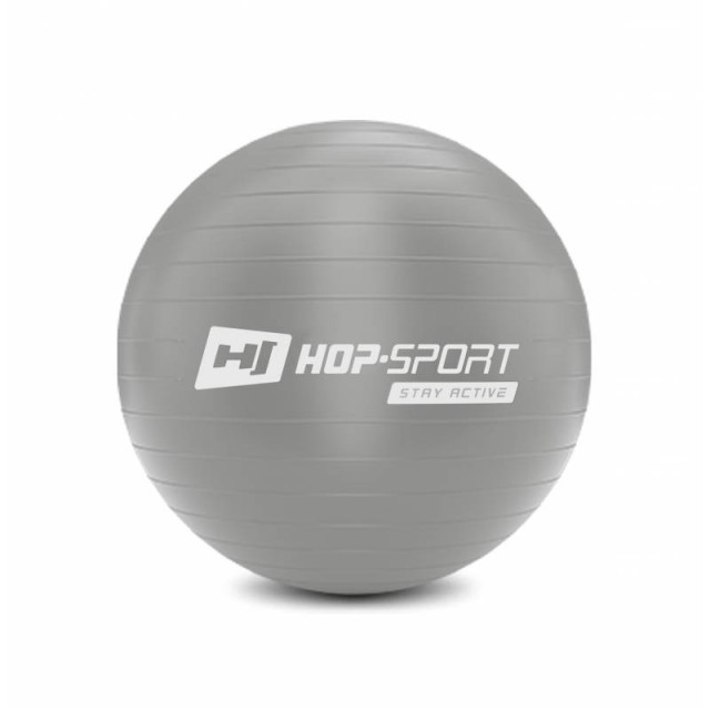 Գ Hop-Sport 45cm HS-R45YB silver + 